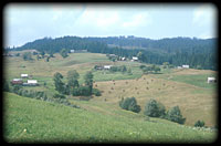 Krsmez - clear-felled areas along the Upper Tisza