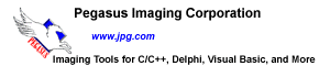 Pegasus 
Imaging Corporation